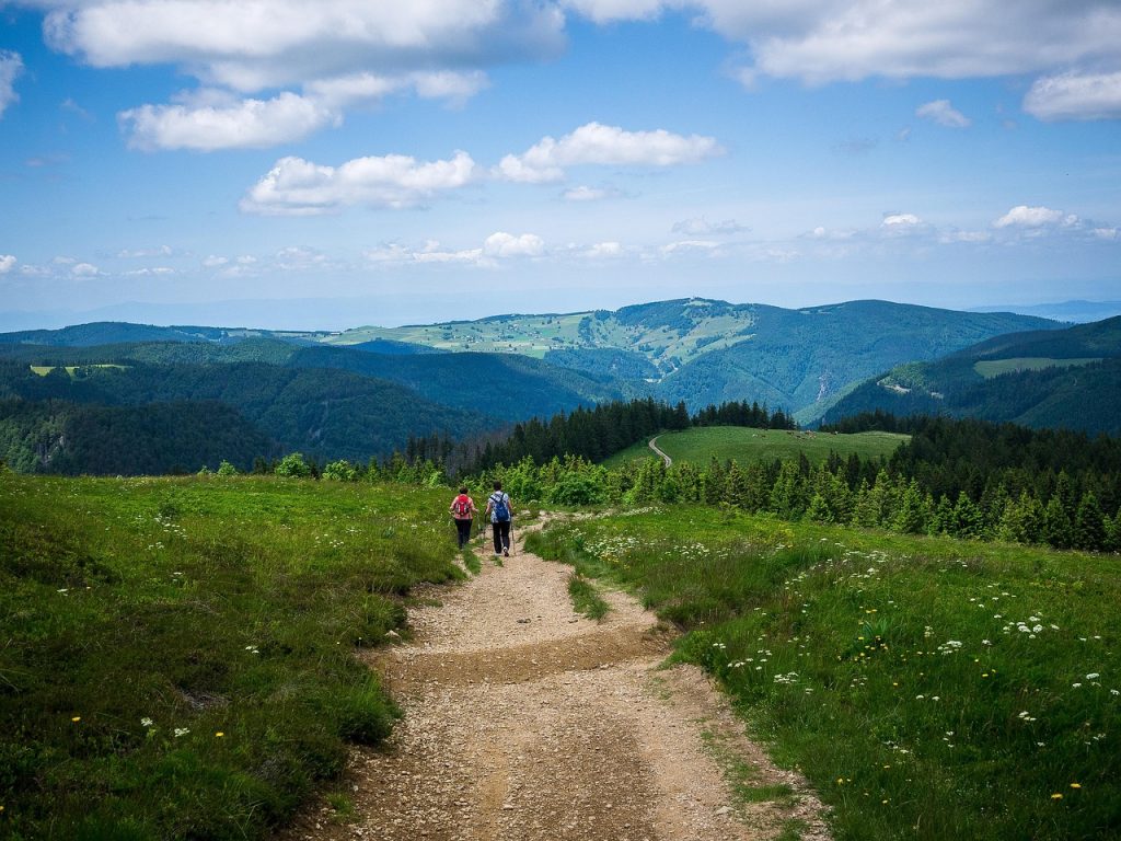 Wandern im Schwarzwald