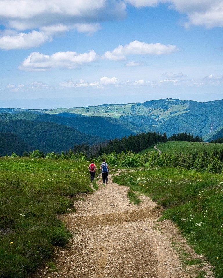Wanderer im Schwarzwald