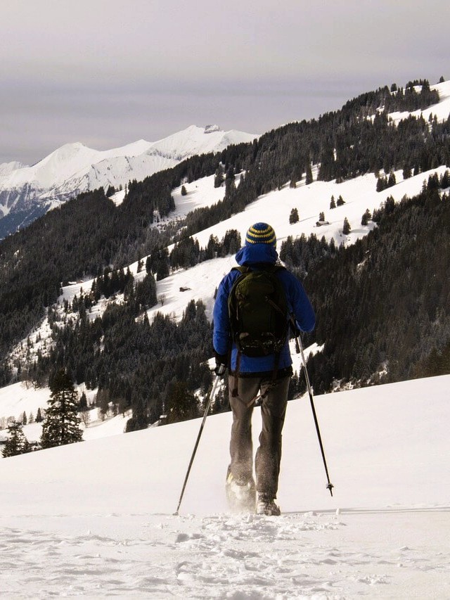 Schneeschuwandern im Schwarzwald