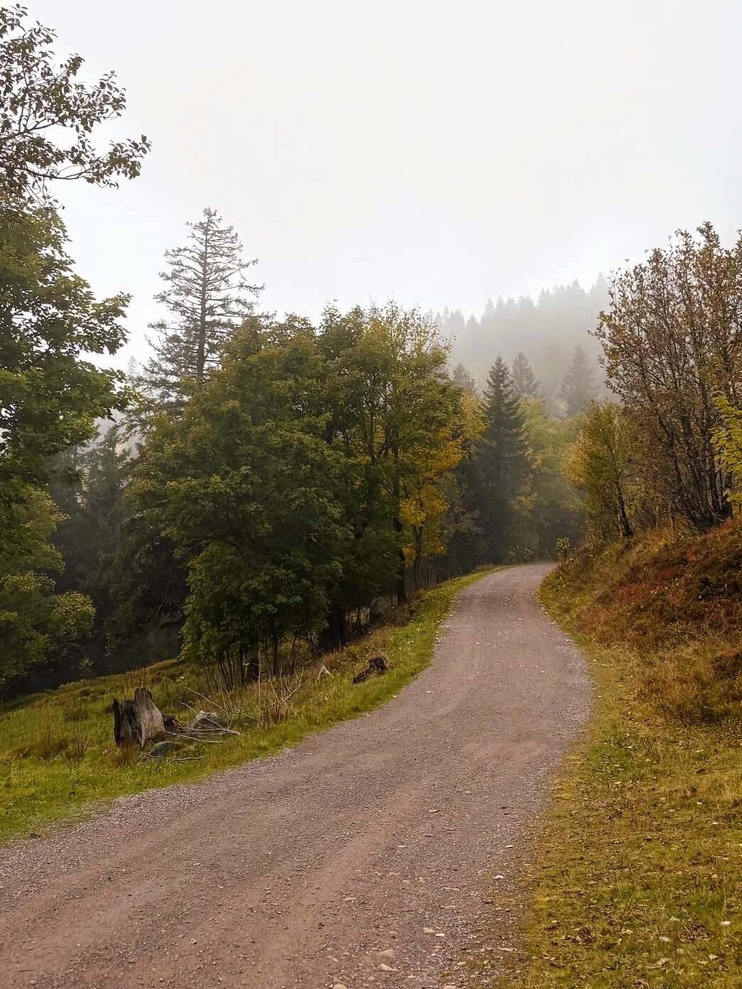 Wandern im herbstlichen Schwarzwald